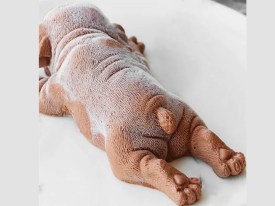 Molde silicona perrito sharpei